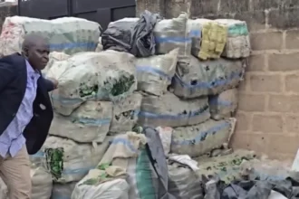 NAFDAC Discovers Over 100 Sacks of Empty Alcohol Bottles in Lagos Residential Building