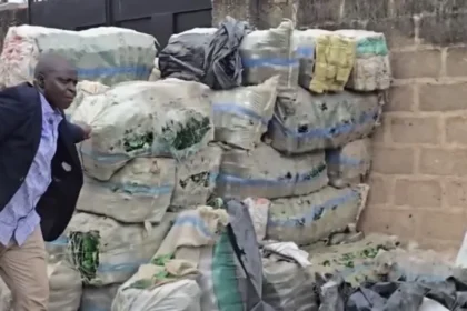 NAFDAC Discovers Over 100 Sacks of Empty Alcohol Bottles in Lagos Residential Building NAFDAC Discovers Over 100 Sacks of Empty Alcohol Bottles in Lagos Residential Building