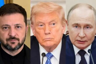 Trump Calls for Zelensky’s Replacement, Accuses Ukrainian Leader of Fuel Price Hikes