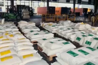 Colombia Seizes 7.6 Tonnes of Cocaine Bound for Netherlands in Record Port Bust Colombia Seizes 7.6 Tonnes of Cocaine Bound for Netherlands in Record Port Bust