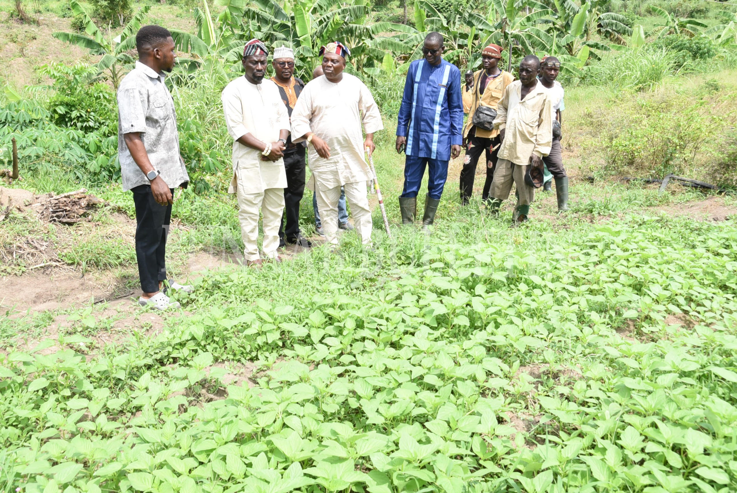 Pro-Chancellor Inspects 2,000-Hectare FUNAAB Alumni Farmland Pro-Chancellor Inspects 2,000-Hectare FUNAAB Alumni Farmland